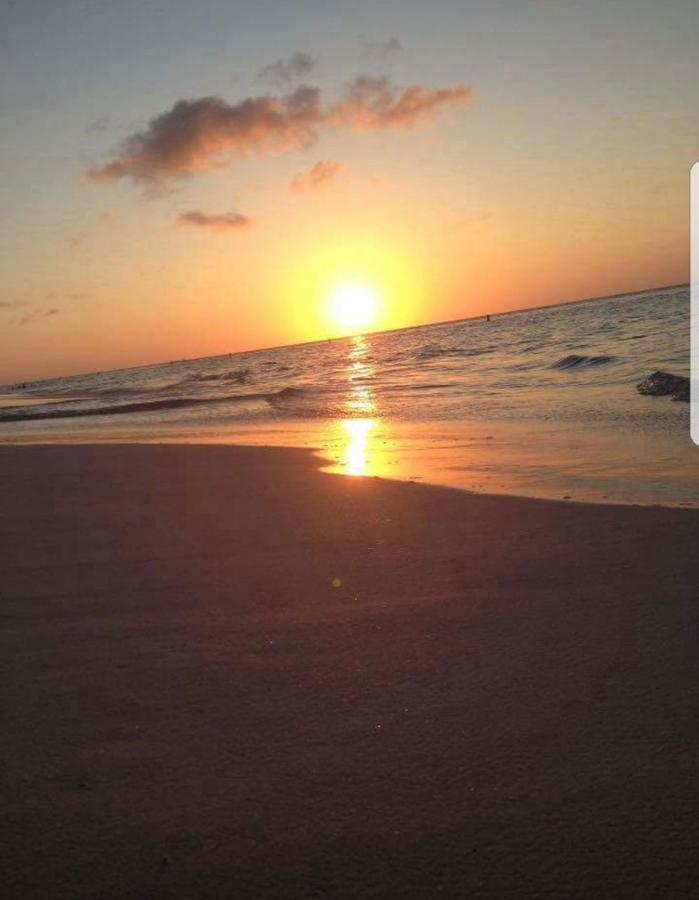 אורנג'סטאד Aruba Harmony Apartments מראה חיצוני תמונה