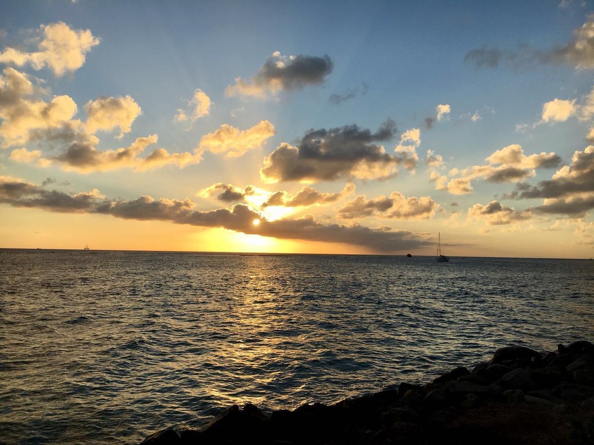 אורנג'סטאד Aruba Harmony Apartments מראה חיצוני תמונה
